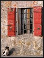 Picture Title - A dog and a window