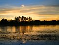 Picture Title - Cranberry Bog Sunset