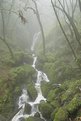 Picture Title - Cataract Falls