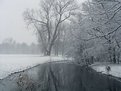 Picture Title - Snow in Holland