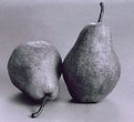Picture Title - Pears