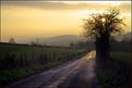 Picture Title - Country Lane