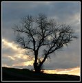 Picture Title - Hillside Silhouette