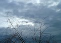 Picture Title - Winter Sky