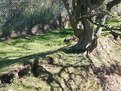 Picture Title - rabbit hiding
