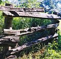 Picture Title - Fence in the Park