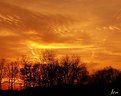 Picture Title - 'golden sunset in brookhaven'