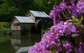 Picture Title - Mabry Mill