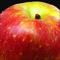 Picture Title - Apple