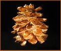 Picture Title - golden pinecone