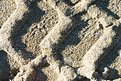 Picture Title - sand tracks