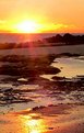 Picture Title - Morris Island Sunrise
