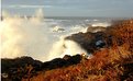 Picture Title - Winter Storm in Oregon 2