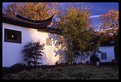 Picture Title - Chinese Garden