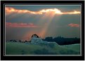 Picture Title - beside alnmouth estuary