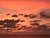 orange evening