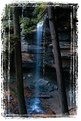 Picture Title - Moore Cove Falls