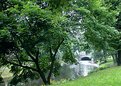 Picture Title - Stream and Park, Riga, Latvia