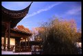 Picture Title - Chinese Garden