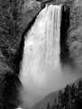 Picture Title - Lower Falls Yellowstone