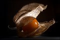 Picture Title - Physalis