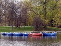 Picture Title - Birds & Boats