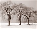 Picture Title - Finger Lake Winter Scene