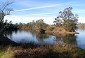 Picture Title - Lake Natoma