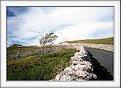 Picture Title - Yorkshire Dales, UK