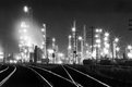 Picture Title - nocturnal industry