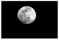 Picture Title - full moon