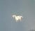 Pegasus