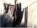 Picture Title - Air drying