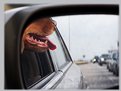 Picture Title - Oh Boy. Car Ride!