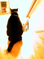Picture Title - Into the Light