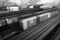Picture Title - View from the Bridge