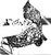 Insets Graphc