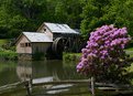 Picture Title - Mabry Mill