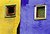 Face in Windows (yellow&blue)