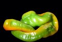 Picture Title - sleeping pepper