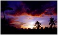 Picture Title - Tropical Twilight