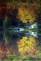 Picture Title - reflection