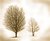 Two trees
