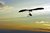 Glide for Freedom