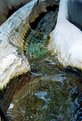 Picture Title - Water...