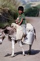 Picture Title - Azerbaijani boy on a donkey