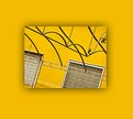 Picture Title - the yellow wall