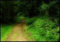 Picture Title - don't look back