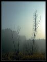 Picture Title - morning fog