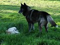 Picture Title - The Teacher & the Student